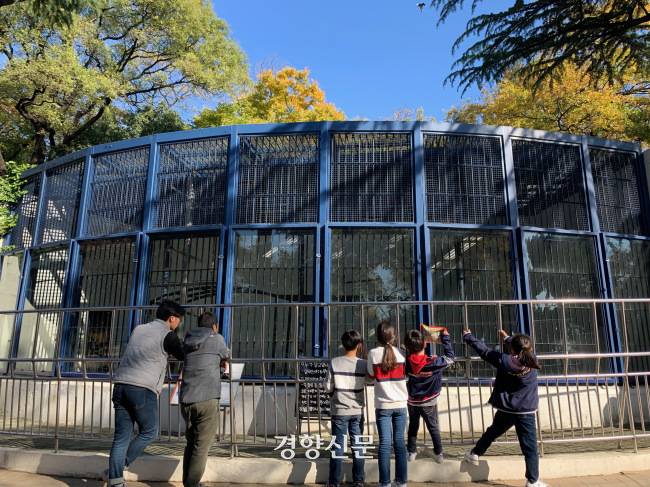 대구 달성공원의 침팬지사. 경향신문 자료사진