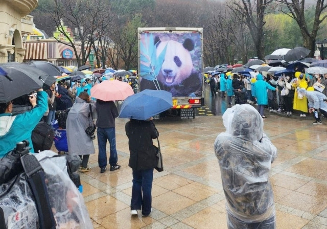3일 오전 에버랜드에서 진행된 자이언트 판다 푸바오 배웅길 현장에 취재진과 시민들이 모여 인산인해를 이루고 있다. 연합뉴스