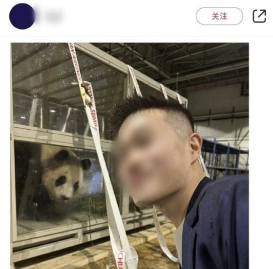 한 취재진이 마스크도 착용하지 않고 푸바오와 사진을 찍은 뒤 개인 SNS에 공유했다가 비난을 받고 삭제했다. (사진=웨이보 캡처)