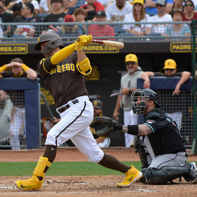 (샌디에이고 포수 카일 히가시오카)