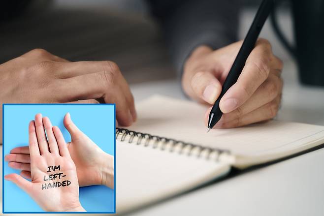 세포골격 형성과 관련된 튜불린(tubulin) 단백질 형성에 관여하는 튜불린 유전자 변이 중 하나인 '튜불린 베타-4B(TUBB4B)'가 많은 사람이 왼손잡이가 된다는 것을 발견했다. [사진= 게티이미지뱅크]