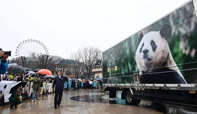 푸바오 팬들이 3일 오전 용인 에버랜드 장미원에서 푸바오를 실은 특수차량을 보며 배웅하고 있는 모습. 사진공동취재단, 연합뉴스