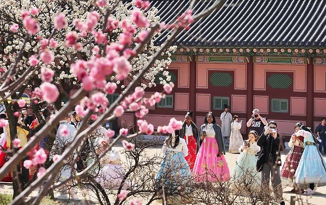 경복궁을 찾은 외국인 관광객들이 봄꽃을 배경으로 사진을 찍고 있습니다. 색색의 봄꽃만큼 관광객들이 차려입은 한복도 아름답습니다.  한주형 기자