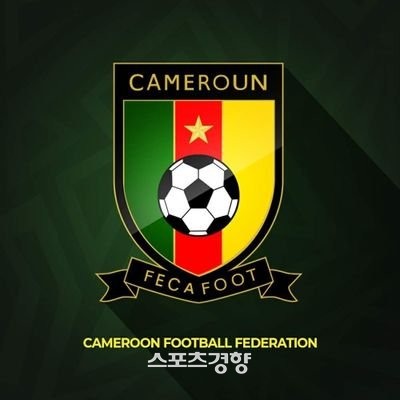 카메룬축구협회 앰블럼