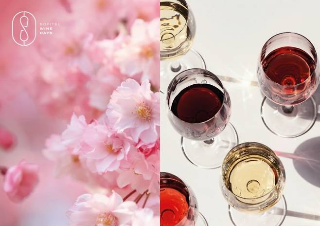 /사진제공=소피텔 앰배서더 서울