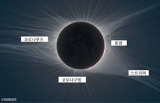 이번 개기일식 때 과학자들이 자세히 관찰할 계획인 4가지. 태양의 불꽃 ‘홍염’, 코로나 이루는 밝은 ‘스트리머’, 스트리머 사이 어두운 ‘코로나구멍’, 자기장 따라 생기는 밝은 고리 ‘코로나루프’.  /네이처 니콜라 르포두