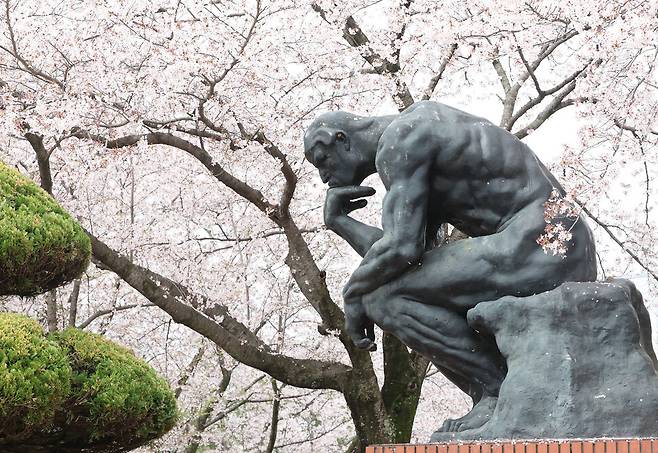 지난 4일 경남 창원시 창원대학교 한 조각상 뒤로 벚꽃이 만개해 봄기운이 느껴진다. 연합뉴스