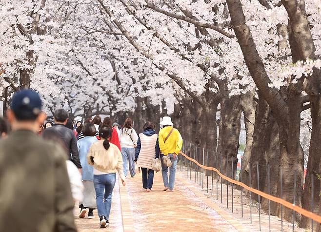 5일 오후 서울 영등포구 안양천 산책로에서 열린 봄꽃-황톳길 축제에서 시민들이 황톳길을 걷고 있다. 연합뉴스