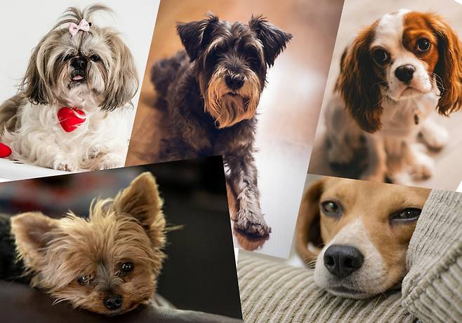 “요즘 우리를 보신 적 있으신가요?”