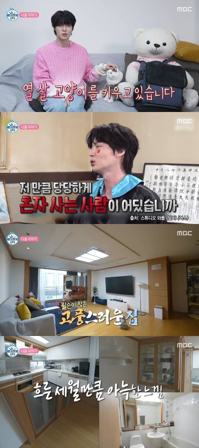 MBC ‘나 혼자 산다’ 캡처