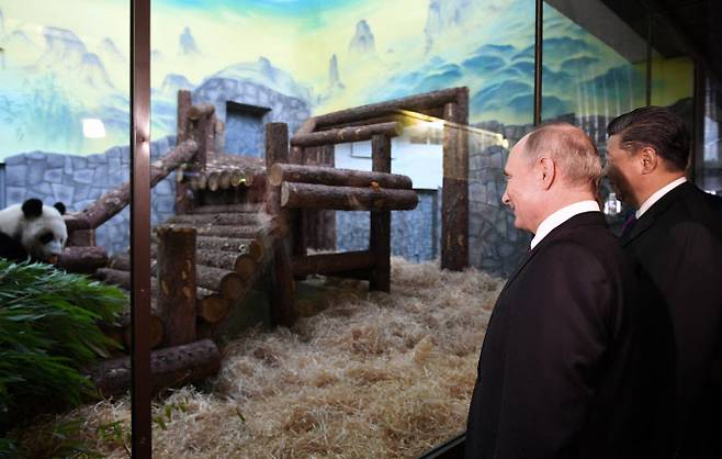 2019년 모스크바 동물원에서 판다를 보는 시진핑(오른쪽) 중국 국가주석과 블라디미르 푸틴 러시아 대통령.(사진=AFP)