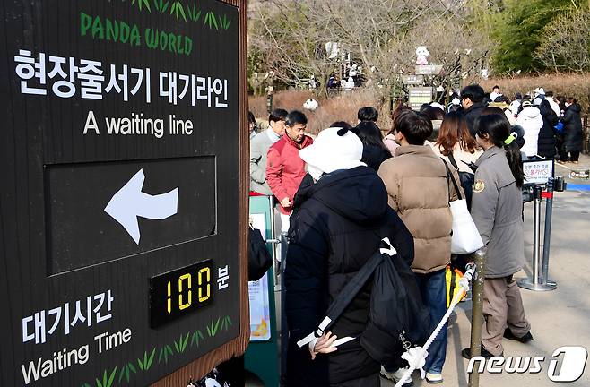 푸바오가 일반 관람객들을 만나는 마지막 날 경기 용인시 에버랜드 판다월드 입구에서 관람객들이 입장을 기다리고 있다. /뉴스1 ⓒ News1 사진공동취재단