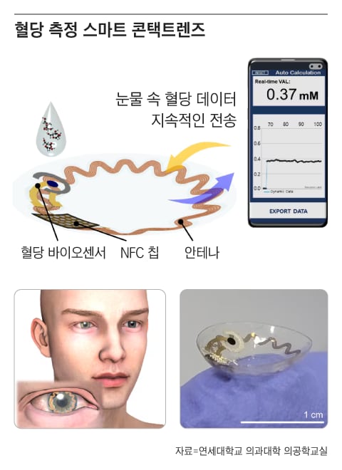 그래픽=조선디자인랩 정다운