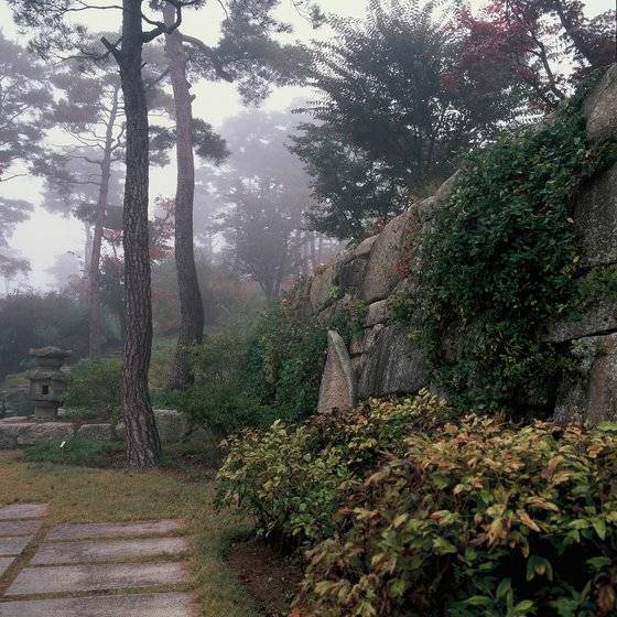 호암미술관 희원 전경( 2002). 양해남 촬영. [사진 국립현대미술관]