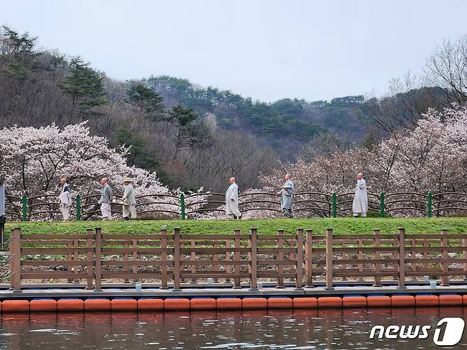 전국에서 가장 늦게 피는 벚꽃으로 유명한 마이산 벚꽃이 이달 10일께 만개할 것으로 예상된다. 마이산 길에서 스님들이 봄을 즐기고 있다.(진안군제공)2024.4.8/뉴스1