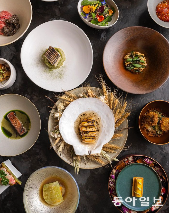 아토믹스. 동아DB