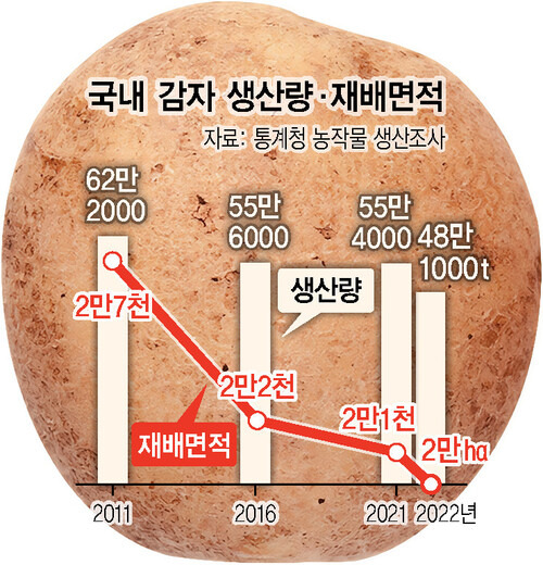 한겨레 그래픽