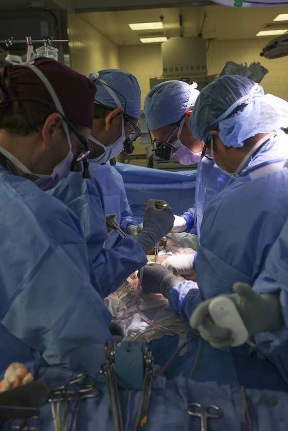 Surgeons perform the world’s first genetically modified pig kidney transplant into a living Human at Massachusetts General Hospital, Saturday, March 16, 2024, in Boston, Mass. [Massachusetts General Hospital via AP]