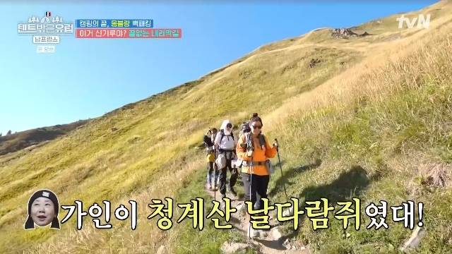 tvN ‘텐트 밖은 유럽 남프랑스 편’ 캡처