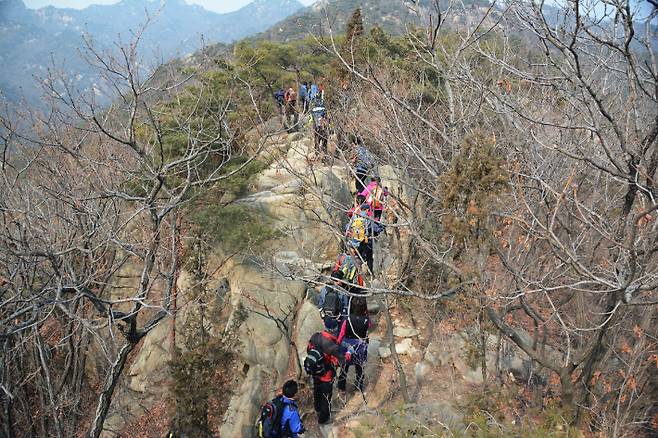 스마트이미지 제공