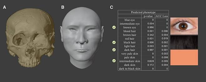 무제의 두개골 3D 모델(A)과 이를 토대로 재구성한 얼굴 모형(B), 그리고 DNA로 알아낸 피부색 등의 얼굴 정보. Current Biology