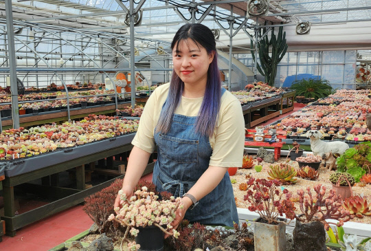 세종시 '바람꽃의 다육 식물원' 채민정 대표는 한국산 다육이의 우수성을 내세워 해외시장을 개척하고 있다. 사진=바람꽃의 다육 식물원