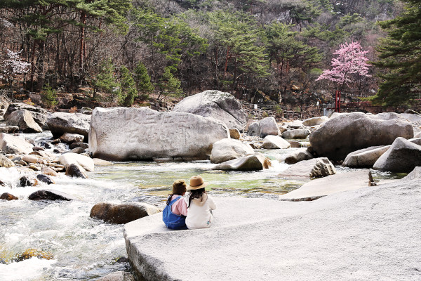 충북 단양 선암골생태유람길 계곡.