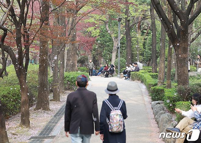 제22대 국회의원 선거일이자 임시 공휴일인 10일 오후 서울 송파구 석촌호수 벚꽃길을 찾은 시민들이 떨어지는 벚꽃잎 아래 산책을 하고 있다. 2024.4.10/뉴스1 ⓒ News1 김진환 기자