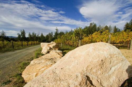 허쉬 빈야드 전경 출처=홈페이지