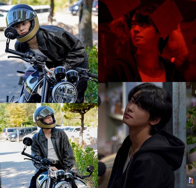 [사진 제공 = 판타지오]