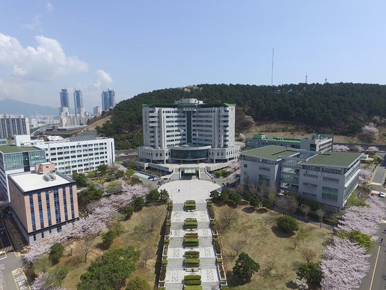 부산 남구 동명대학교 전경 사진. 사진 동명대