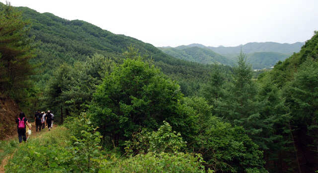 ▲ 금병산의 철쭉꽃, 삼악산의 진달래꽃, 청평산의 동백꽃도 옛날과 다름이 없겠지만, 근래에는 경춘선 가도에 벚꽃이 매우 번성하여 짧은 시간이나마 봄빛을 또한 자랑한다지요’ -차상찬 선생의 글 ‘춘천의 봄 소식은 어떠한가’중. 사진은 금병산 모습.