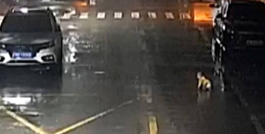 생후 6개월 된 아기가 밤거리를 기어다니는 모습. 뉴시스