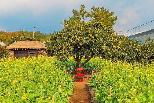 휴애리자연생활공원
