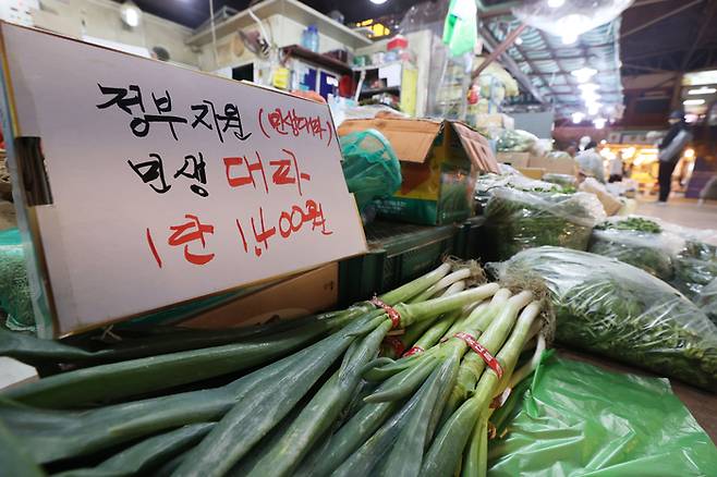 4월 10일 서울 마포구 마포농수산물시장에 대파가 전열돼 있다. 연합뉴스