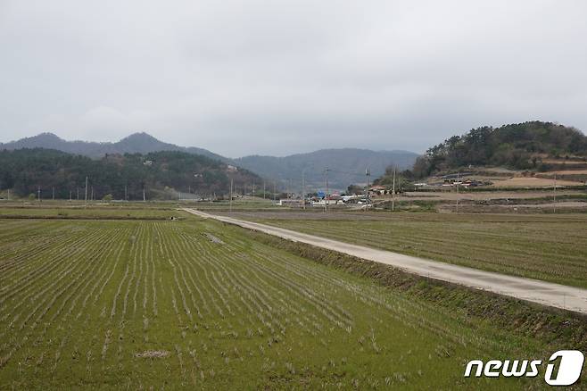 원두마을 앞 '빈지머리들'풍경. 2024.4.12 뉴스1 ⓒ News1 조영석 기자