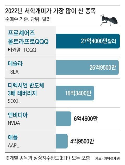 그래픽=조선디자인랩 한유진