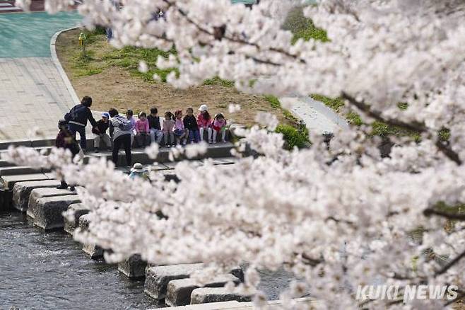 4일 서울 강남구 양재천을 찾은 시민들이 벚꽃길을 걸으며 봄 정취를 만끽하고 있다. 사진=임형택 기자