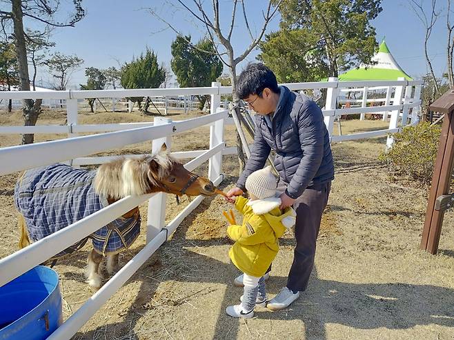 말문화체험장에서 말먹이주는 가족. 사진 제공|운주산승마조련센터