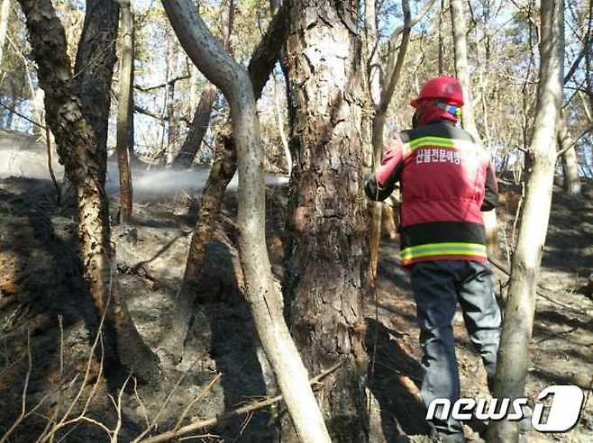 14일 낮 1시27분쯤 충북 진천군 덕산읍 석장리의 한 야산에서 원인을 알 수 없는 불이 나 20여분 만에 꺼졌다.(산림청 제공)./뉴스1