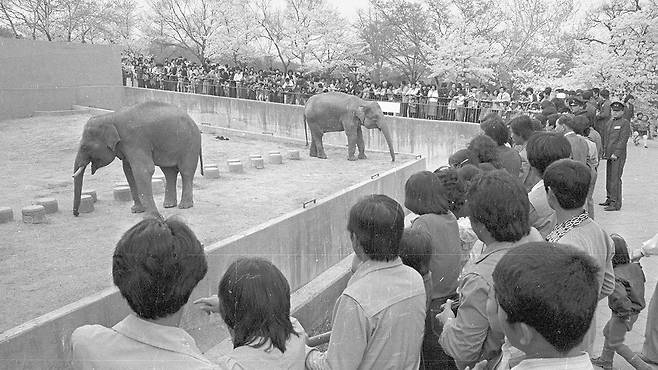 사진 자료 중구청+매일신문