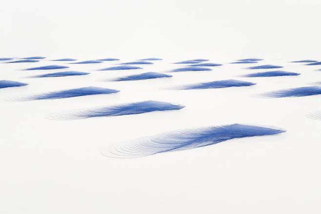 김윤수, 〈바람의 砂原〉, 2014-2024, 비닐쌓기, 가변크기 경기도미술관 제공