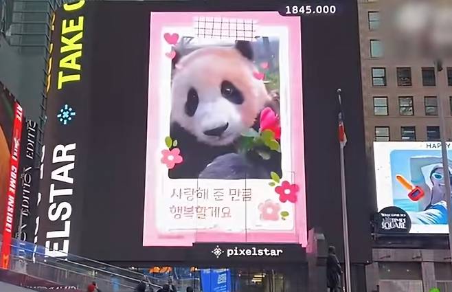 뉴욕 타임스퀘어에 중국 등 해외팬들이 게재한 푸바오 한글 응원광고