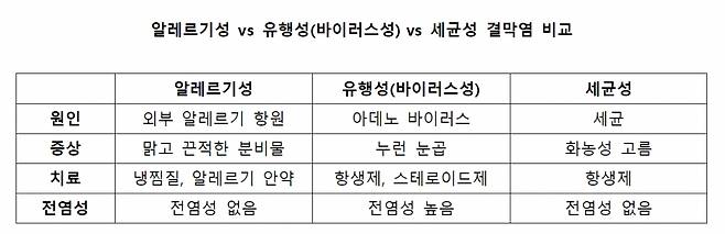 결막염 종류별 특징./사진=김안과병원