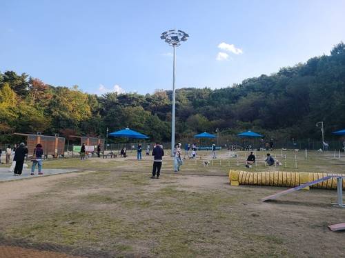 창원 펫 빌리지 놀이터 [창원시 제공. 재판매 및 DB 금지]