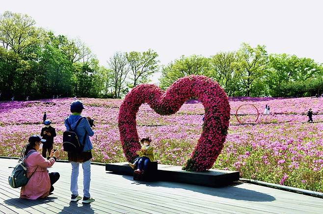 철쭉동산 [노원구 제공. 재판매 및 DB 금지]