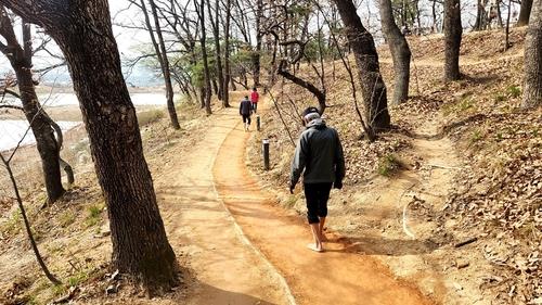 호암지 맨발 산책로 충주시 제공. 재판매 및 DB 금지