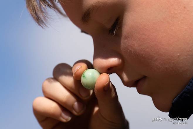 사진=게티이미지코리아.