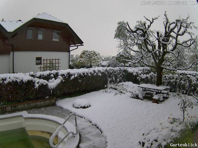 30도 더위 이틀 뒤 눈이 내린 오스트리아 필라흐. (사진=엑스 캡처)