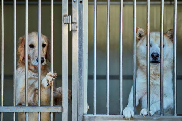 ⓒ게티이미지뱅크